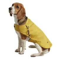 Read Paws in Padstow Reviews
